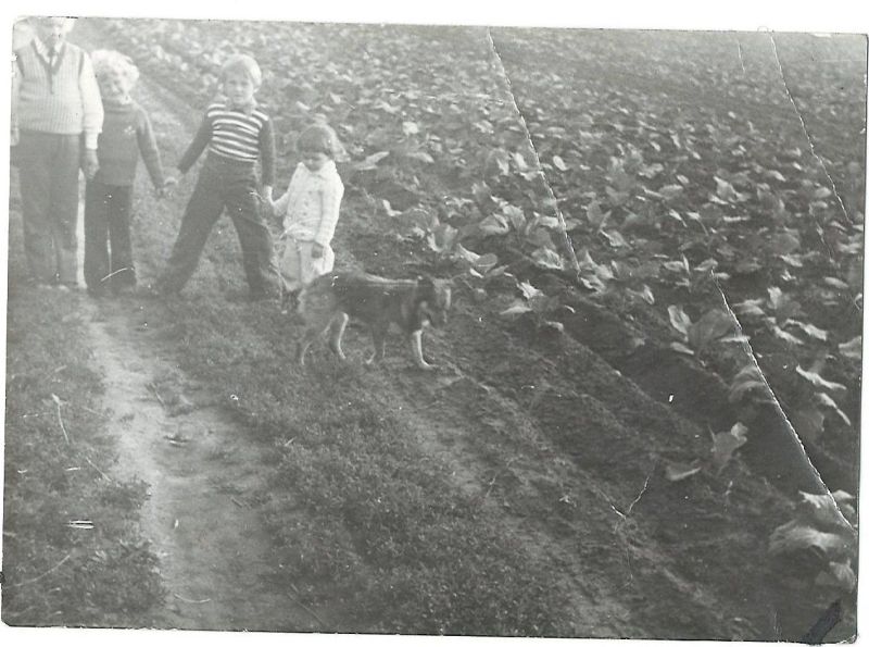 zdjęcie przedstawiające dzieci na polu
