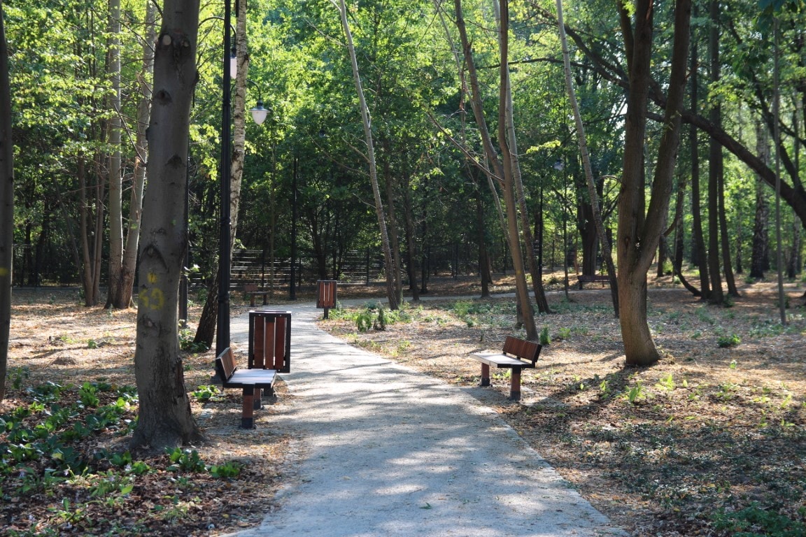 Park w Józefosławiu, sierpień 2015