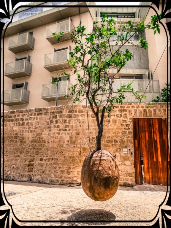 Tel Aviv - fruwające drzewo, fot. Piotr Michalski