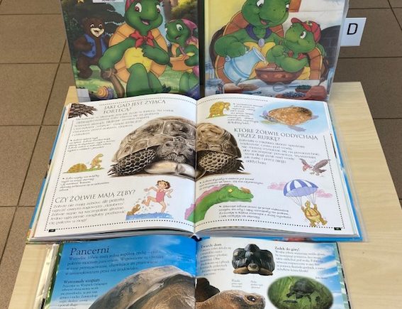 Wystawka książkowa na dzień żółwia