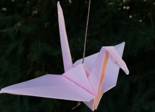 Origami na Festiwalu Herbaty w Cieszynie, 2019