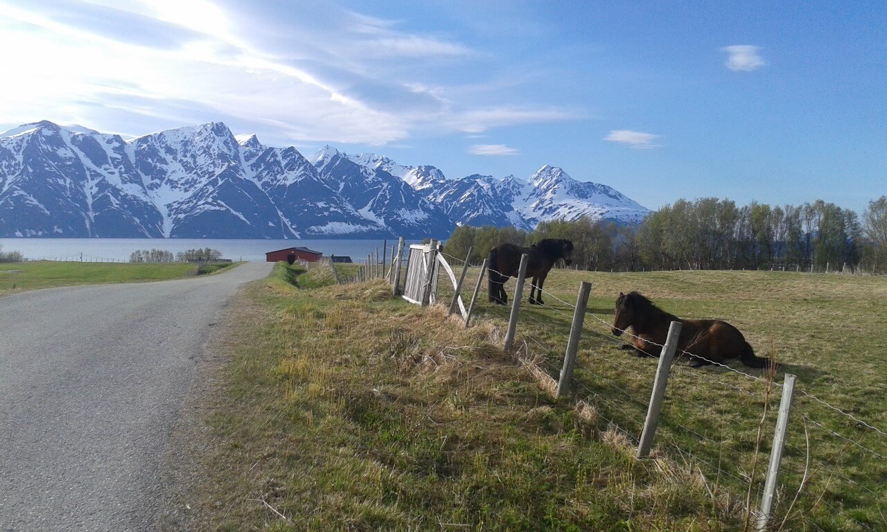 Norwegia Północna, Spåkenes, widok na Alpy Lyngeńskie