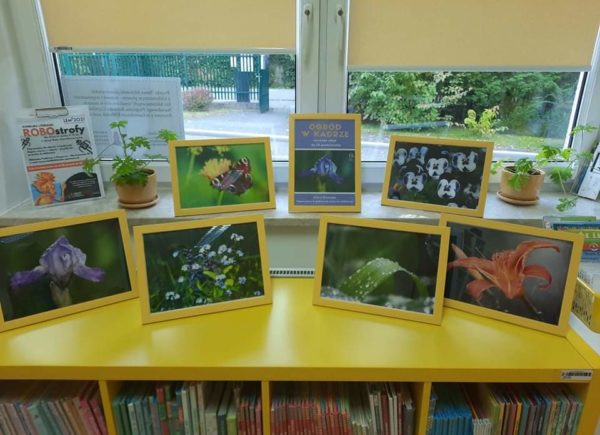 Wystawa zdjęć prezentująca kwiaty i owady