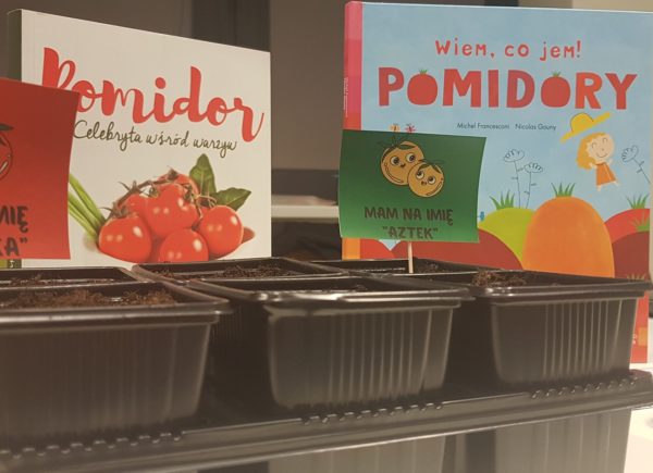 Doniczki z posadzonymi nasionkami pomidorów oraz książki o pomidorach.