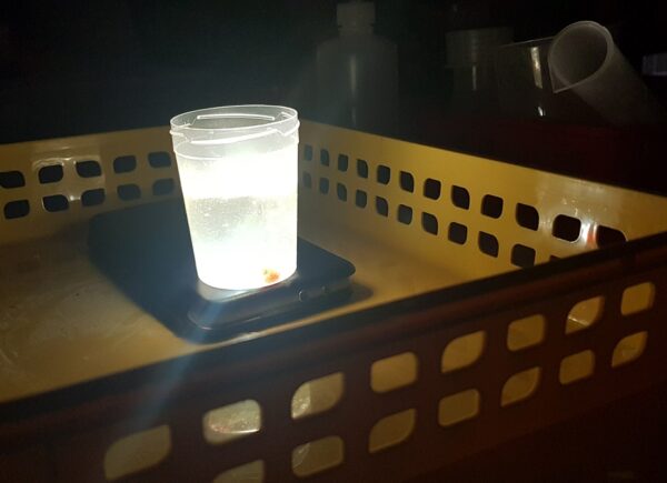 Jedno z doświadczeń wykonanych podczas warsztatów chemicznych - lampa lawowa.