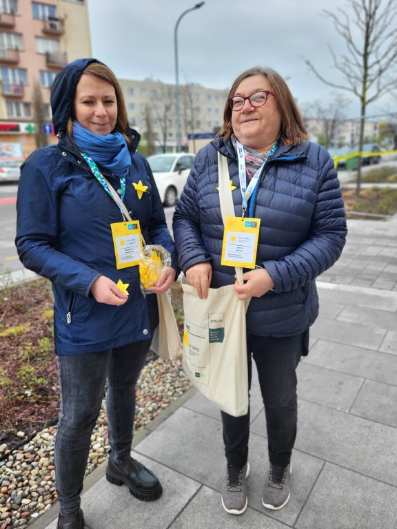 wolontariuszka w Piasecznie rozdają papierowe żonkile