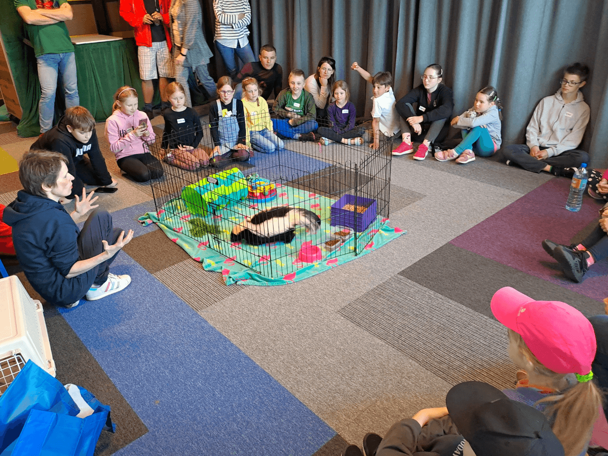 Dzieci słuchają ciekawostek o skunksie Zygmuncie. W centrum znajduje się Zygmunt na wybiegu dla skunksów.