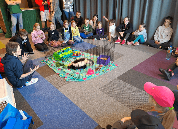 Dzieci słuchają ciekawostek o skunksie Zygmuncie. W centrum znajduje się Zygmunt na wybiegu dla skunksów.