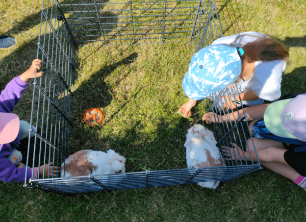 Dzieci karmią króliki miniaturki