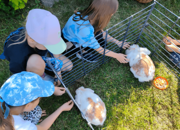 Dzieci karmią króliki miniaturki