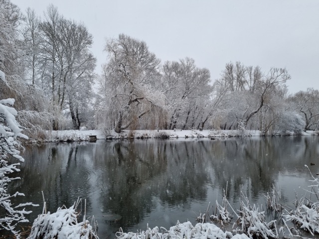 Zdjęcie Miesiąca Grudzień 2023 pt."Zimowy zalew" autorstwa Małgorzaty Iwanow